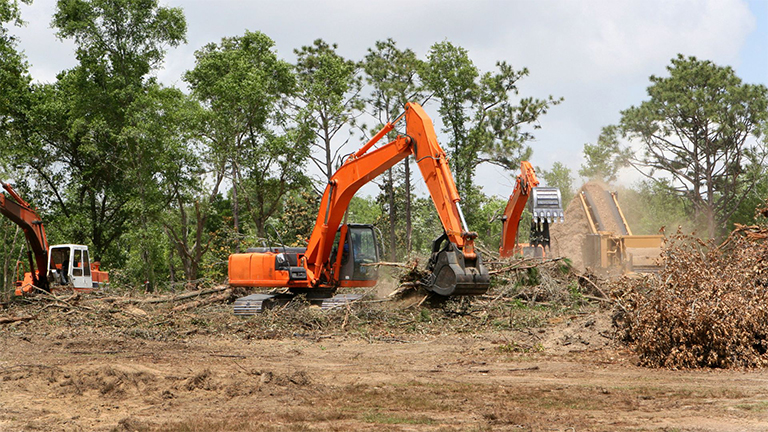 Role of Land-Clearing Contractors