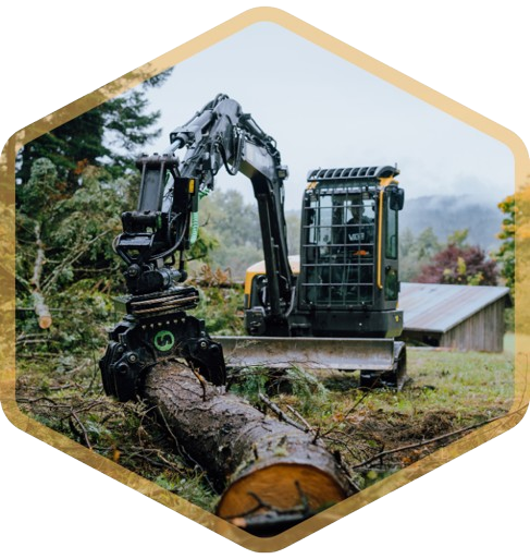 Land Cleaning Contractor in Victoria BC