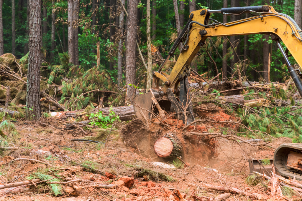 Land Clearing vs. Grading: Key Differences for Saanich Property Owners