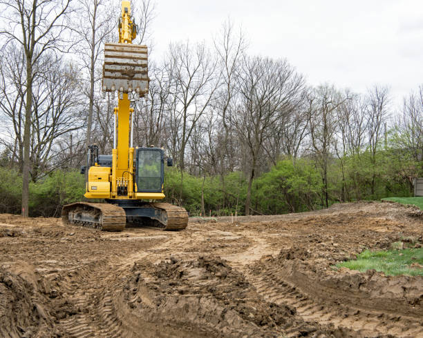 Emergency Land Clearing in Brentwood Bay: When Immediate Action Can Save Your Property