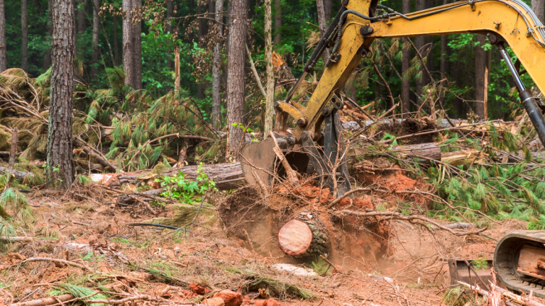 Land clearing vs grading in Saanich
